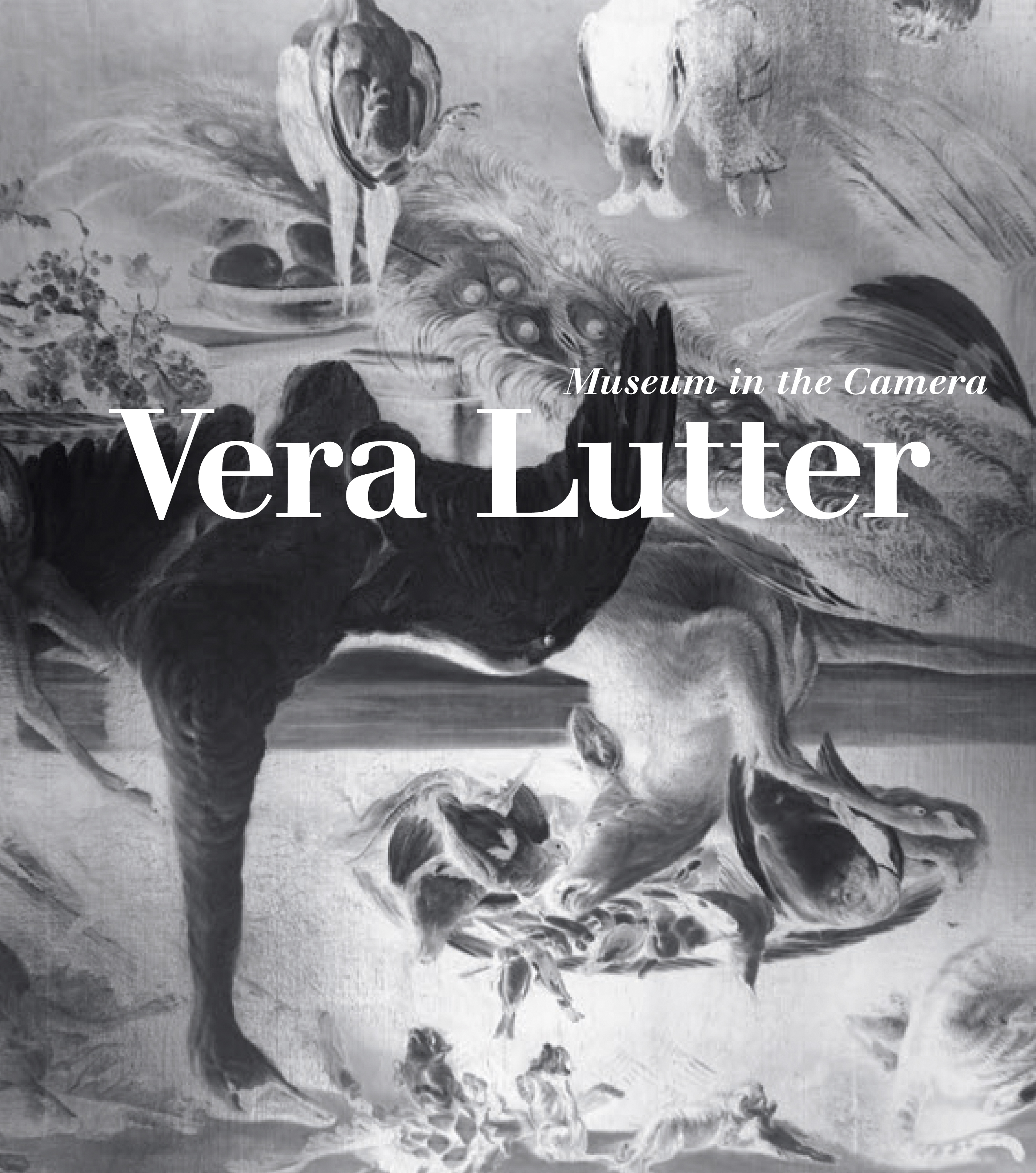 Vera Lutter: Museum in the Camera Catalog