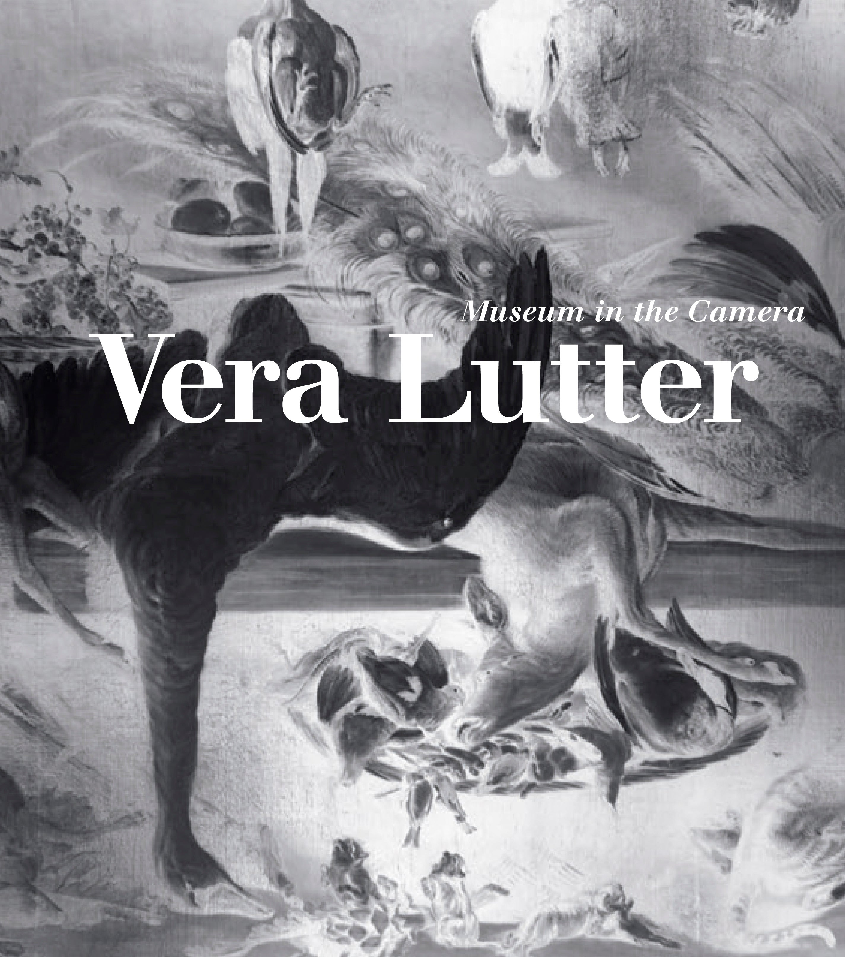 Vera Lutter: Museum in the Camera Catalog