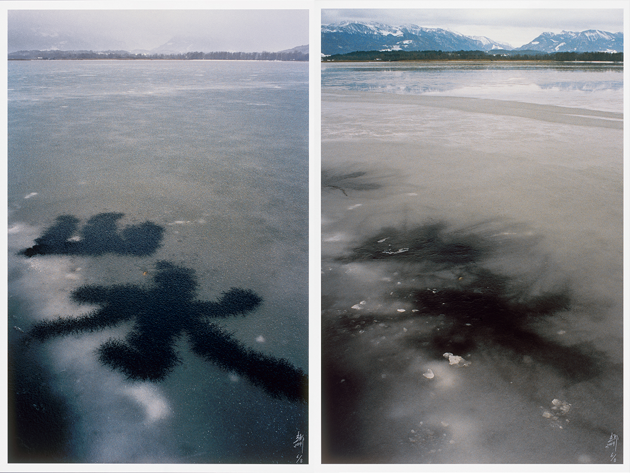 Landscape, Ink, Ice, 2004