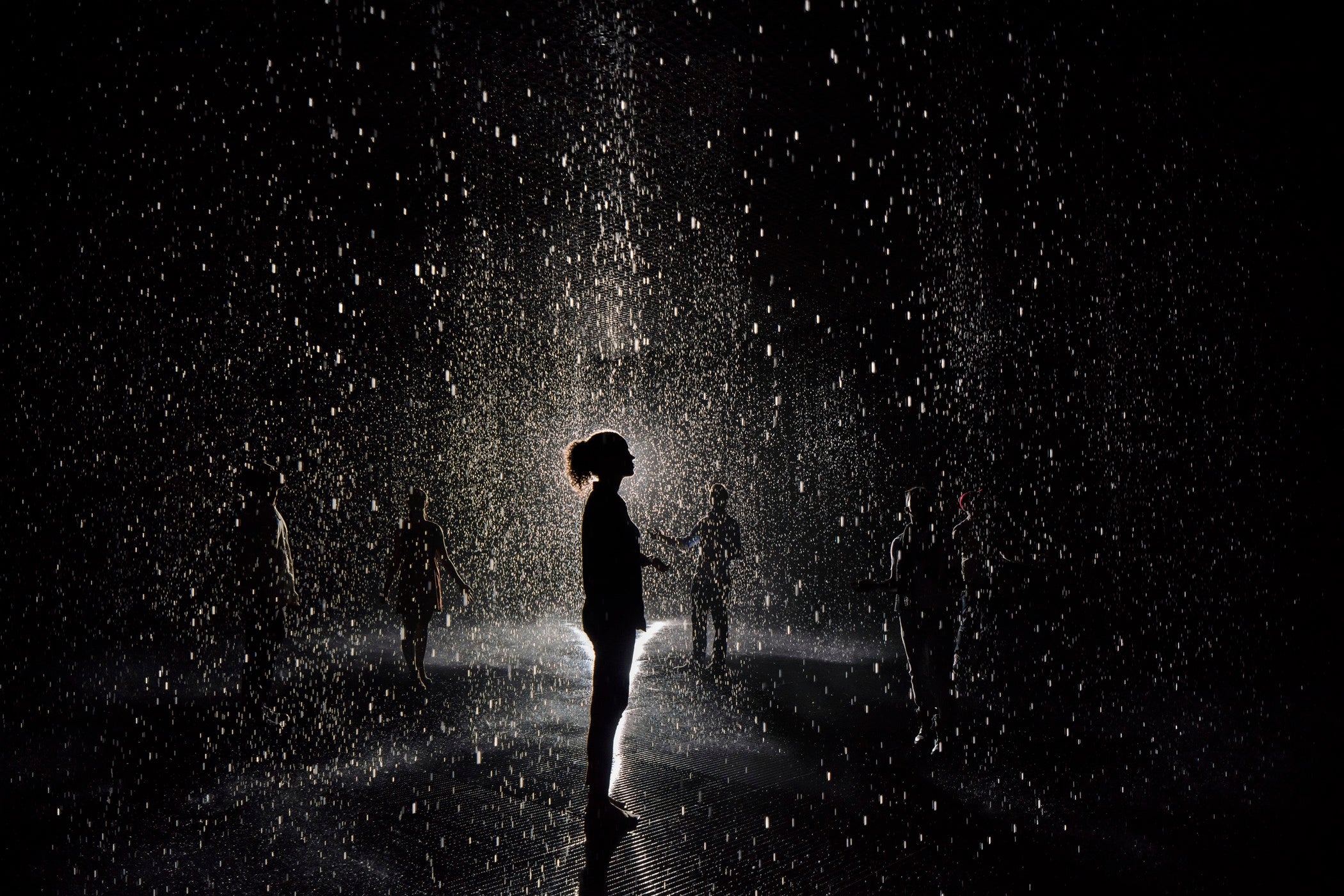 Image: Rain Room Exhibition