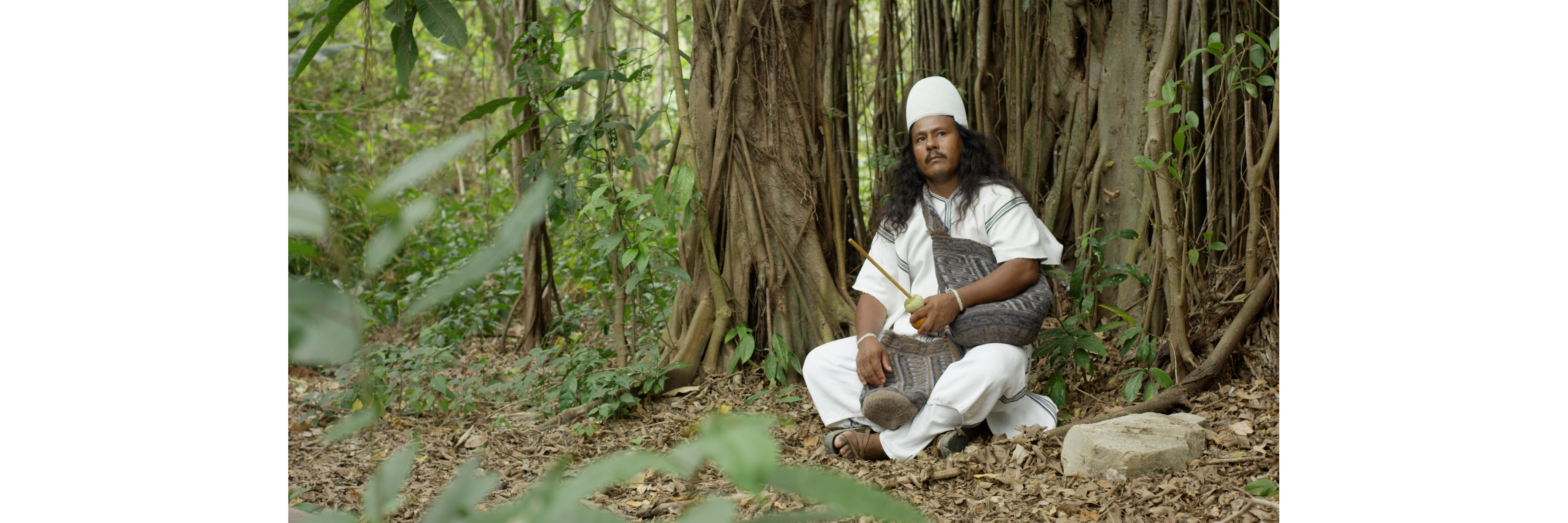 Jaison under a tree