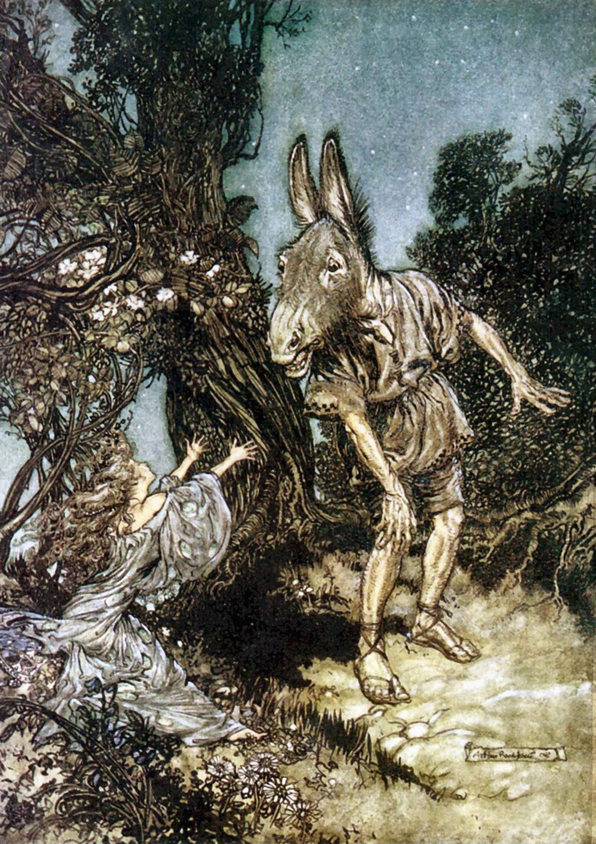 Arthur Rackham, Bottom from A Midsummer Night’s Dream (1908)
