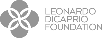 Leonard Dicaprio Foundation