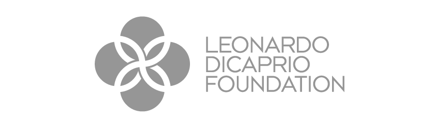 Leonardo Dicaprio Logo