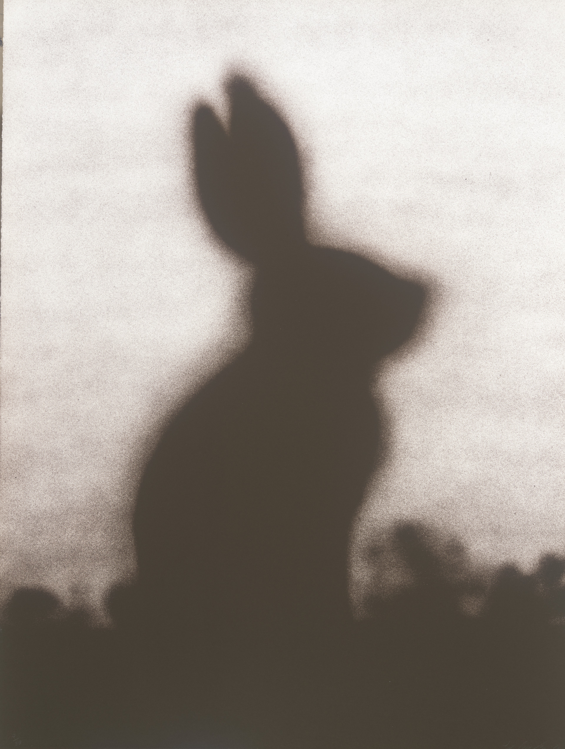 Rabbit, 1986