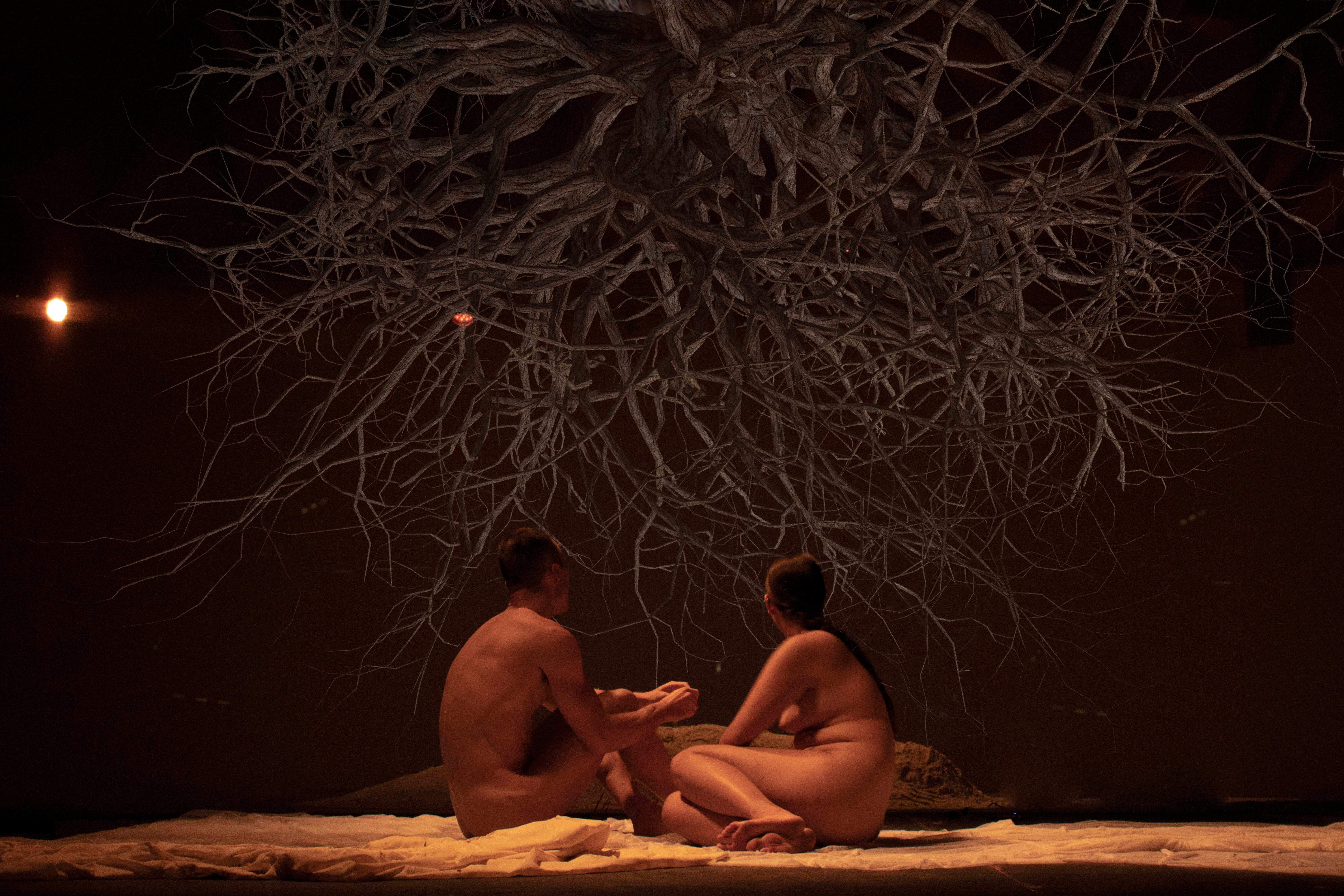 Image: Bruno Cornejo + Oswaldo Erréve