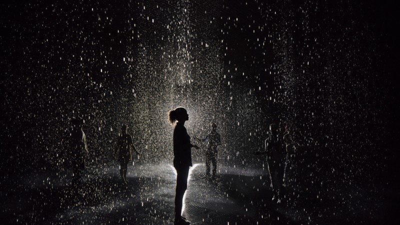 Image: Rain Room Exhibition