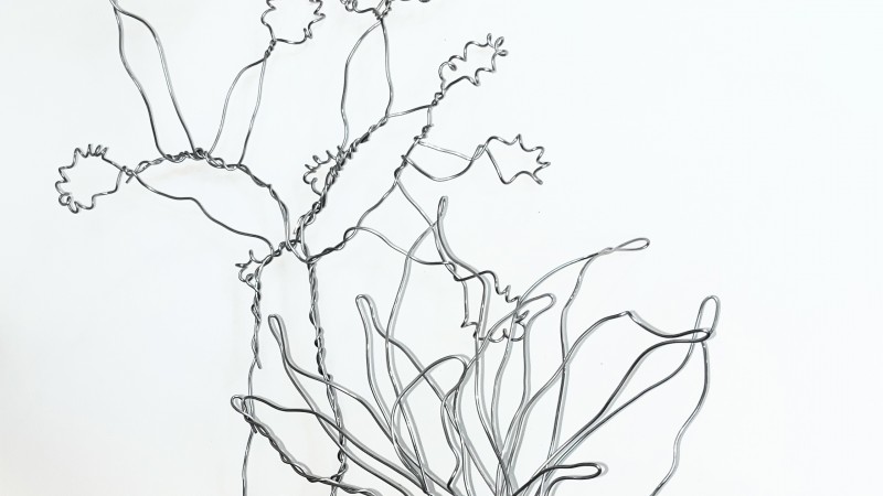 wire drawing of cactus and plant