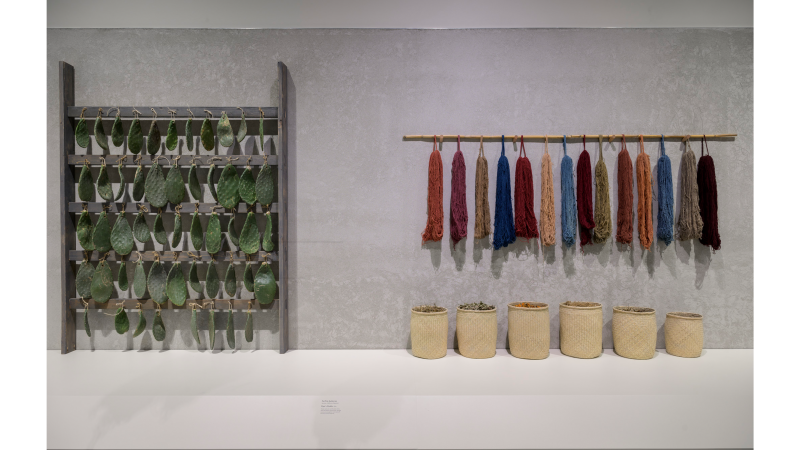 Installation photograph, We Live in Painting: The Nature of Color in Mesoamerican Art, Los Angeles County Museum of Art, Sep 15, 2024–Sep 1, 2025, photo © Museum Associates/LACMA