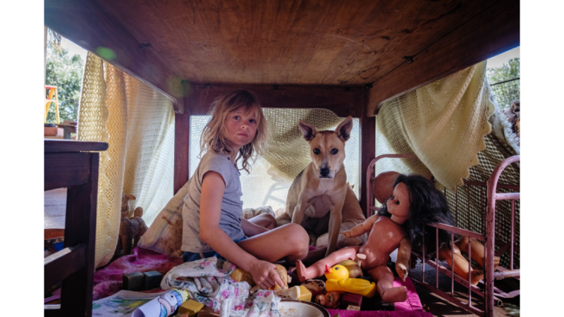 Exclusive Member Screening—Don't Let's Go to the Dogs Tonight