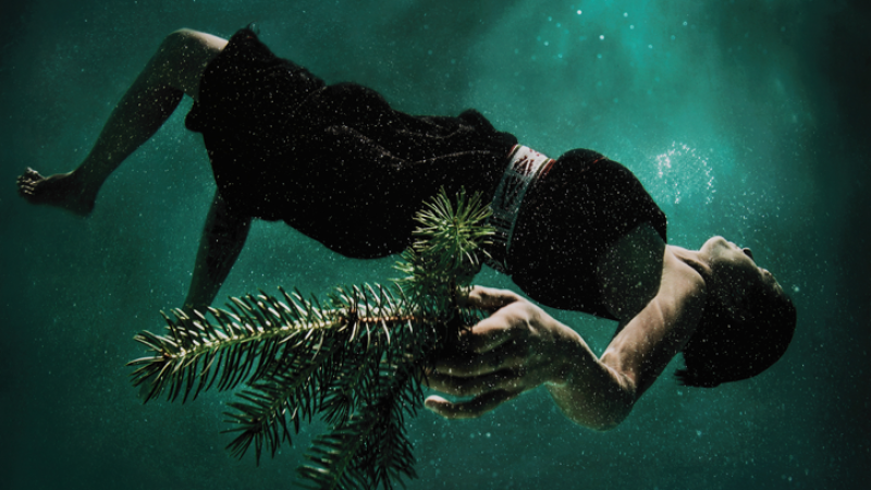 Cara Romero, Water Memory, 2015