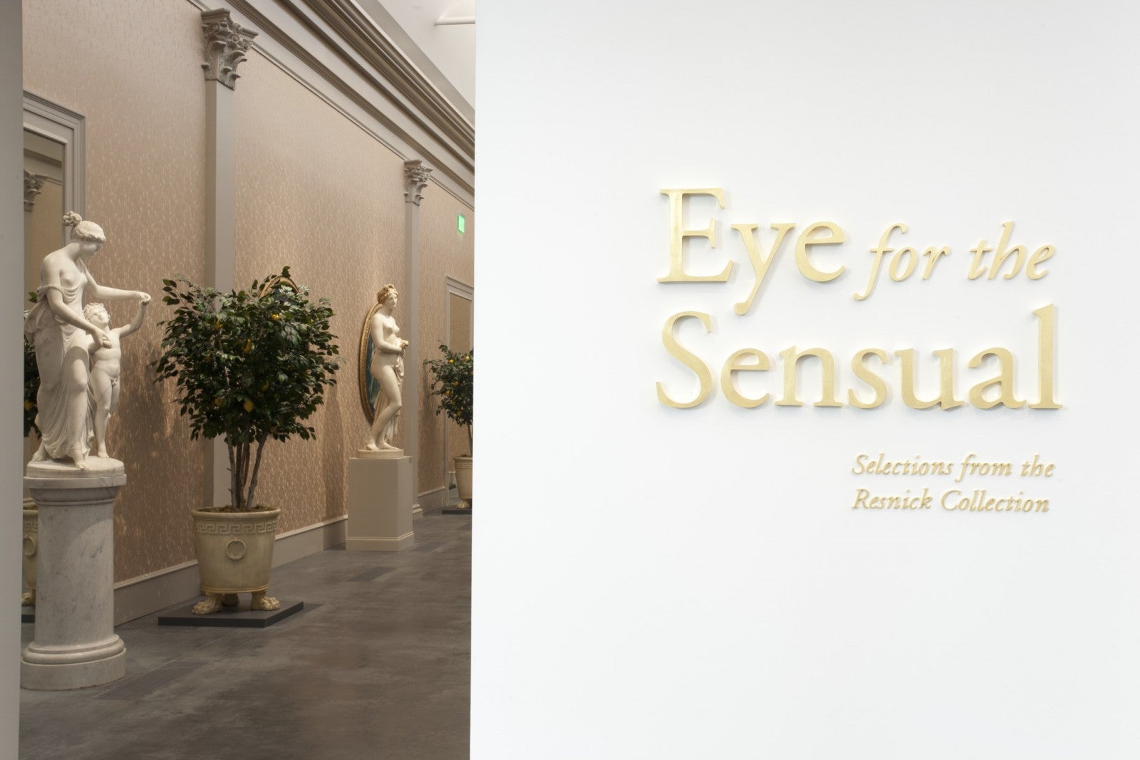 Install Shot: Eye for the Sensual