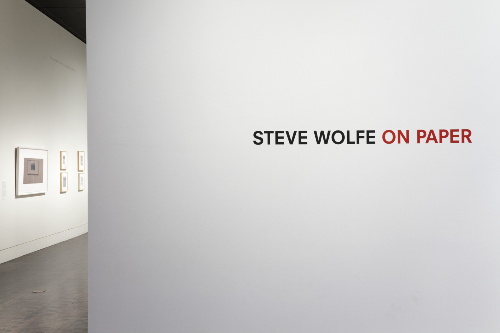 Install Shot: Steve Wolf