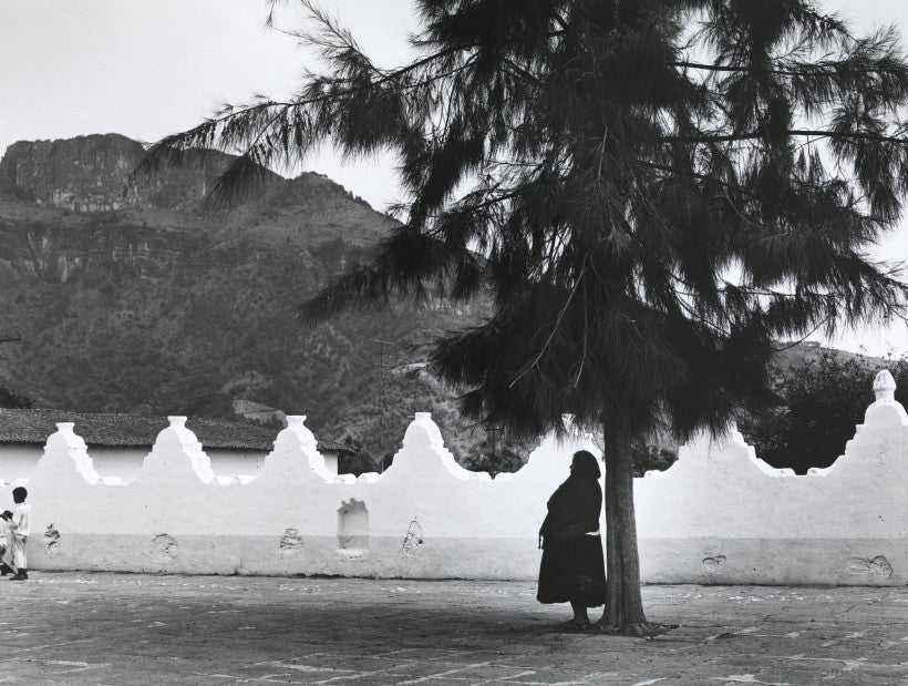 Image: Mariana Yampolsky, Espera, n.d.
