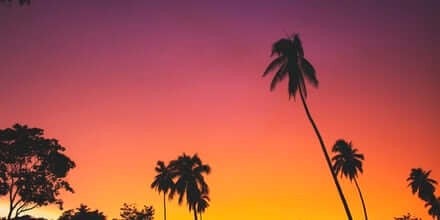 aaa