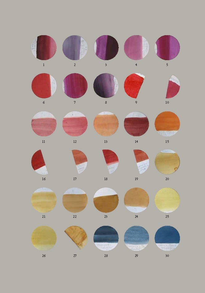 Muestras de investigación de los colores del Códice Florentino, 2006